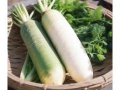 青萝卜和白萝卜的区别？青萝卜与白萝卜大揭秘，夏日吃它更解暑！