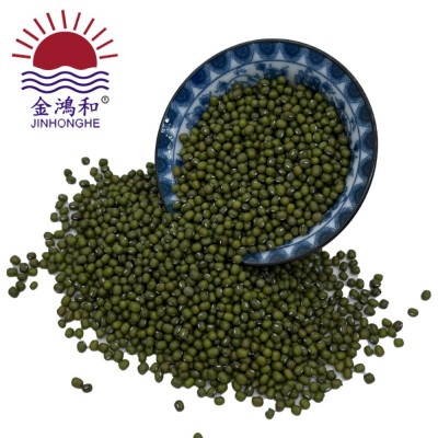 埃塞小芽豆发芽菜原料专用绿豆芽豆绿豆芽发豆芽芽豆苗农家绿豆图3