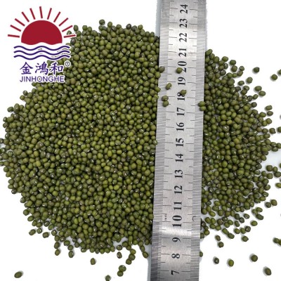 埃塞小芽豆发芽菜原料专用绿豆芽豆绿豆芽发豆芽芽豆苗农家绿豆图2