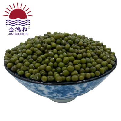 埃塞小芽豆发芽菜原料专用绿豆芽豆绿豆芽发豆芽芽豆苗农家绿豆图4
