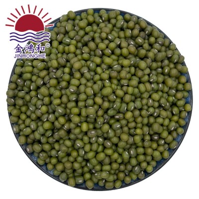 埃塞小芽豆发芽菜原料专用绿豆芽豆绿豆芽发豆芽芽豆苗农家绿豆图5