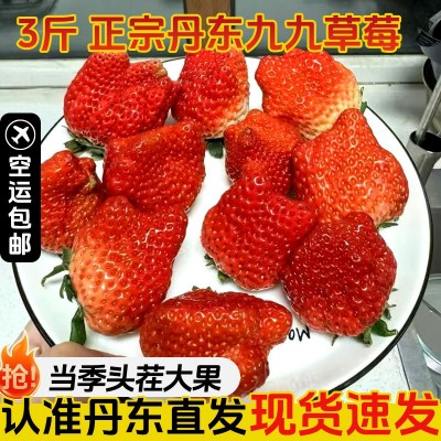 顺丰包邮丹东99草莓红颜九九大草莓当季水果多汁3斤丑果特价图3