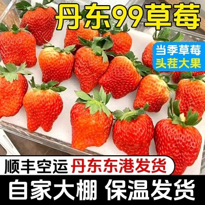 顺丰包邮丹东99草莓红颜九九大草莓当季水果多汁3斤丑果特价图4