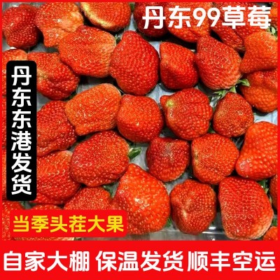 顺丰包邮丹东99草莓红颜九九大草莓当季水果多汁3斤丑果特价图5
