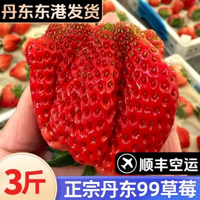 顺丰包邮丹东99草莓红颜九九大草莓当季水果多汁3斤丑果特价图2