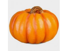 种植南瓜，具体怎么施肥？