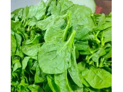 谷雨，哪些蔬菜不能再种植？随便种不仅长不好还没产量