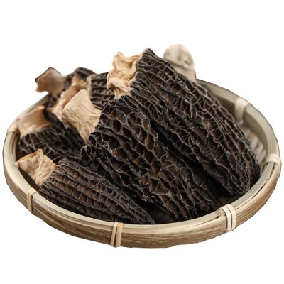 云南特产羊肚菌批发蘑菇头茬剪柄羊肚菌干货批发代发春羊肚500克