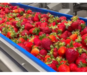 农业科技进步推动农业机械化发展