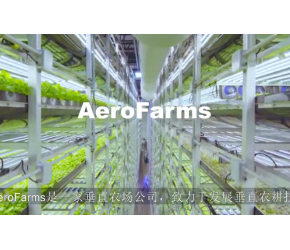 现代农业-高科技垂直农场