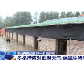 江西：农业部门多举措应对低温天气，保障生猪养殖