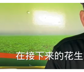 根茎叶的生物学特征隐藏着哪些增产潜力